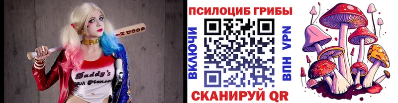 Псилоцибиновые грибы Magic Shrooms  Купить  Липецк 